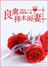 良禽择木而妻(师生)林暮梁秦沐朝顾择夏柒